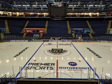 elite ice hockey.